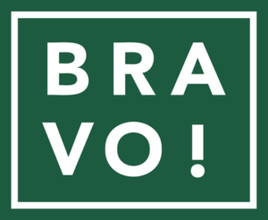 Logo bravo